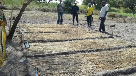 Agricultores de Monapo (Moçambique) desenvolvem trabalho que permite a melhoria da segurança alimentar