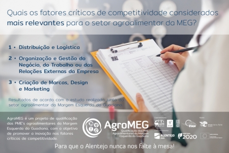 Quais os fatores críticos de competitividade considerados mais relevantes para o setor agroalimentar da MEG?
