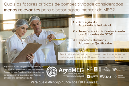Quais os fatores críticos de competitividade considerados menos relevantes para o setor agroalimentar da MEG?