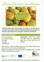 Frutos Silvestres do Alentejo - Figo da Índia e Medronho