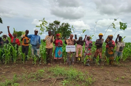 Adaptação da produção agrícola - plantio de 250 árvores de diversas espécies