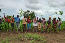 adaptacao-da-producao-agricola-plantio-de-250-arvores-de-d