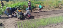 capacitacao-de-agricultores-distribuicao-de-sementes-e-rama