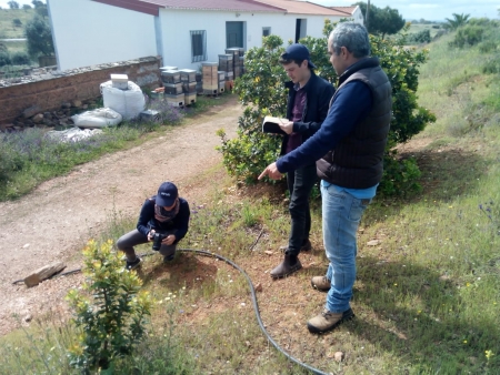 Visitas às plantações dos agricultores do Baixo Alentejo aderentes ao projeto 