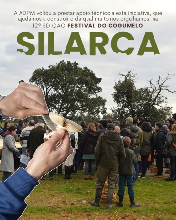 A ADPM participa no Festival do Cogumelo - Silarca
