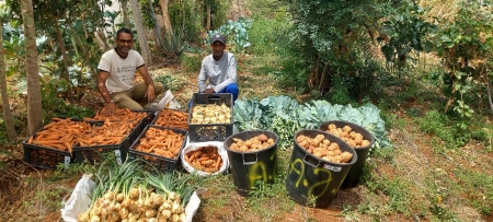 CIRAWA | Produtos orgânicos do campo experimental de Casa de Meio a contribuir para a alimentação saudável das escolas de Santo Antão