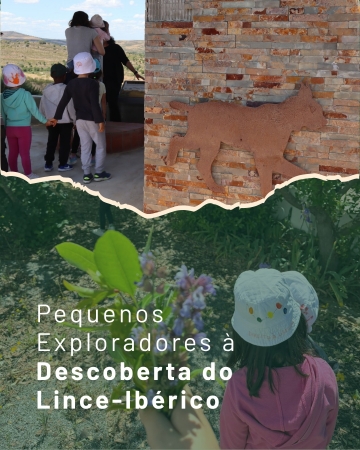Pequenos explorados à descoberta do lince ibérico