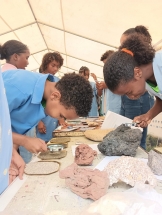ecoraizes-comemoracoes-do-dia-mundial-do-ambiente-em-sao-ni