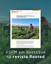 rooted-magazine-publica-artigo-sobre-a-adpm