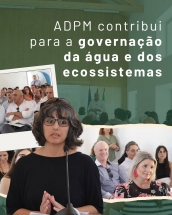 adpm-participa-na-apresentacao-do-modelo-de-governacao-do-it