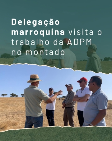 ADPM recebe delegação marroquina para partilha de boas práticas no Montado