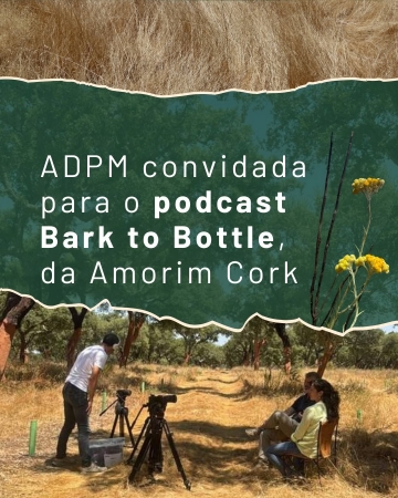 ADPM participa no podcast 