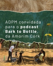 adpm-participa-no-podcast-bark-to-bottle-para-falar-sobre-o-