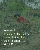 estagio-curricular