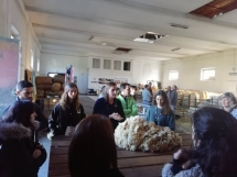 evora-acolhe-workshop-de-las-100-merino