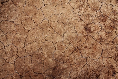 Alterações Climáticas: Projeto LIFE Desert-Adapt lança Manifesto