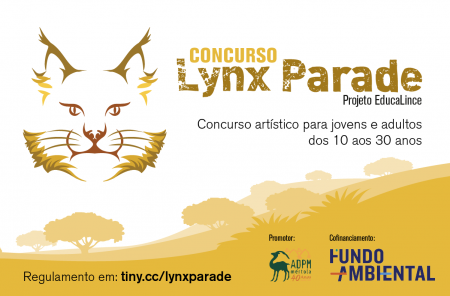 Mostra o teu talento no Concurso Lynx Parade!