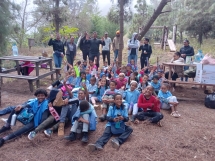 plantacao-de-macela-no-parque-natural-monte-gordo
