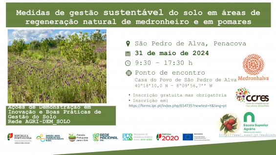 Ação de demonstração sobre medidas de gestão sustentável do solo em áreas de regeneração natural de medronheiro em pomares