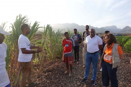 Representante das Nações Unidas em Cabo Verde visita projetos em Casa do Meio