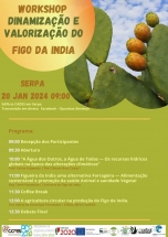 workshop-valorizacao-e-dinamizacao-do-figo-da-india