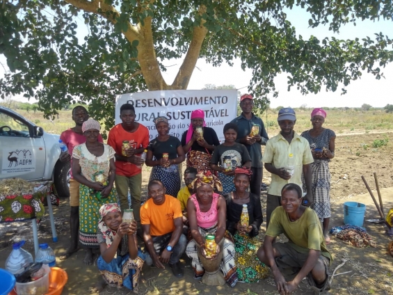 Camada a camada: o aproveitamento das cebolas é fundamental | Desenvolvimento Rural Sustentável