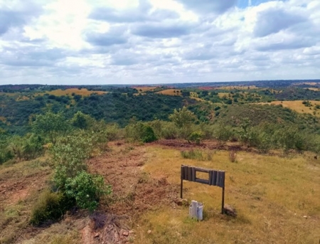Ações Piloto Social Forest em Mértola