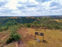 acoes-piloto-social-forest-em-mertola