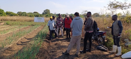 Moçambique: visita de técnico da ADPM a Monapo focada na agricultura e adaptação às alterações climáticas