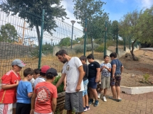centro-de-atividades-de-mertola-acolhe-iniciativa-sobre-a-fl