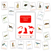 Animais de Mértola - O Jogo das Famílias
