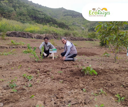 EcoRaízes | Projeto cria Quintal Etnobotânico no Parque Natural Monte Gordo