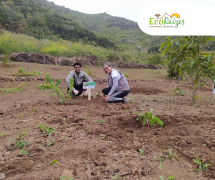 ecoraizes-projeto-cria-quintal-etnobotanico-no-parque-natur