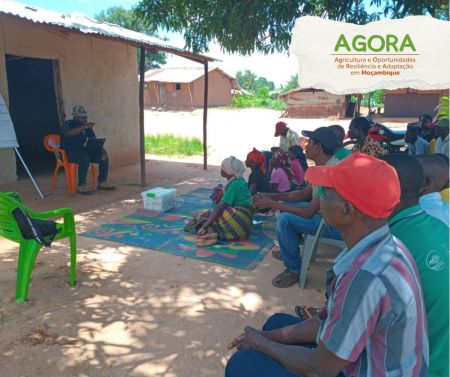 AGORA | Capacitação - Sistemas Agroflorestais