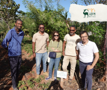 instituto-camoes-realiza-missao-tecnica-a-ilha-de-santo-anta