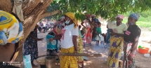 fruto-do-embondeiro-e-moringa-superalimentos-podem-fazer-a