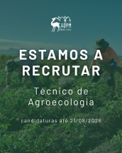 Vaga para Técnico/a de Agroecologia (Santo Antão - Cabo Verde) | Data limite: 21/08/2026