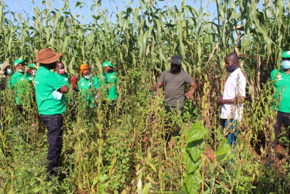 Moçambique: Dia de Campo Agrícola em Monapo