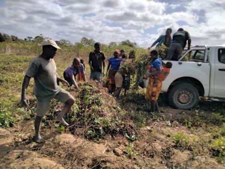 Moçambique: campo de produção em Netia vai beneficiar mais de 100 famílias