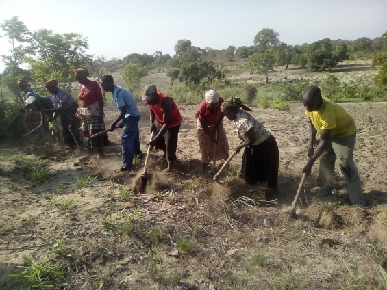 Moçambique: camponeses do projeto Desenvolvimento Rural Sustentável não param